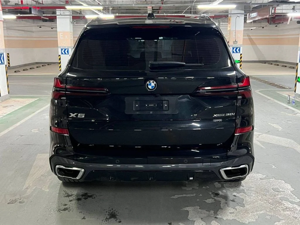 BMW X5 30Li 2024 — вид сзади